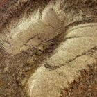 BP8 BARWNIK PERŁOWY OXIDE BRASS 20g